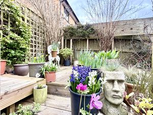 Garden- click for photo gallery